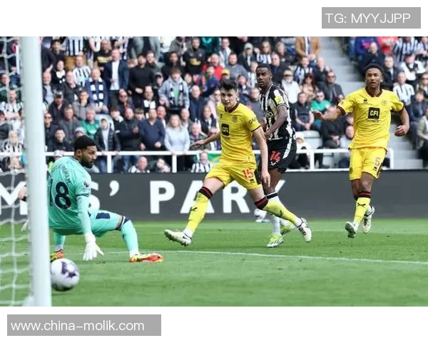 英超激战谢菲尔德联主场迎战纽卡斯尔全力争胜之战 英超激战谢菲尔德联主场迎战纽卡斯尔全力争胜之战