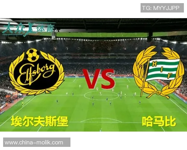 埃夫斯堡对阵哈马比比赛波胆分析及预测