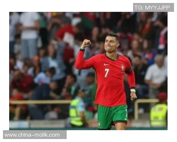 葡萄牙队精彩表现击败阿根廷3比0比赛视频回顾与精彩瞬间分析 葡萄牙队精彩表现击败阿根廷3比0比赛视频回顾与精彩瞬间分析